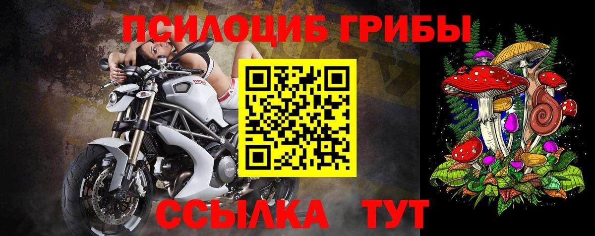 Псилоцибиновые грибы Cubensis Ишим