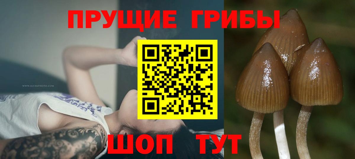 Галлюциногенные грибы MAGIC MUSHROOMS  Вход с VPN  Ишим 